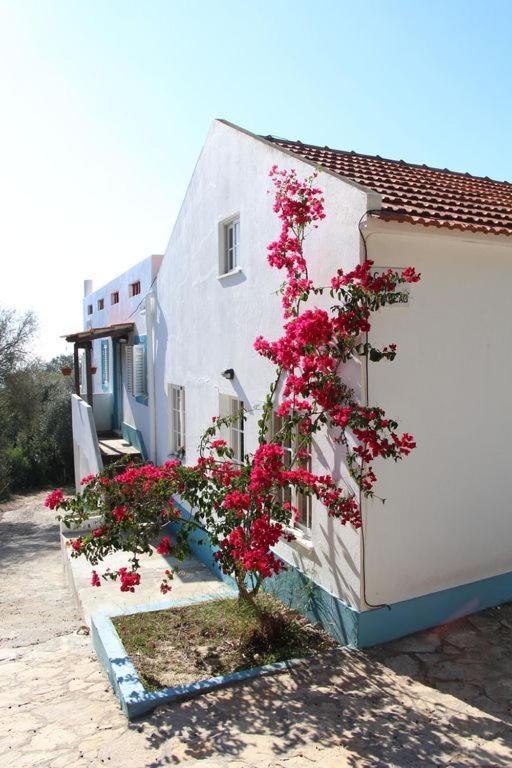 Vila Casa Do Avo Teixeira Sesimbra Exteriér fotografie